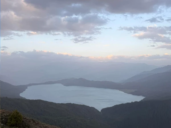 Full View Rara