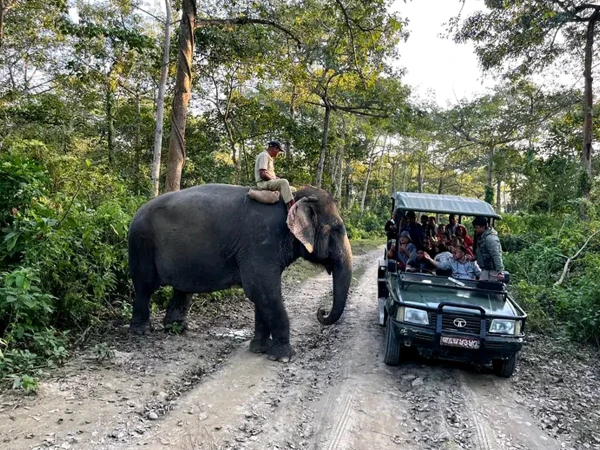Jungle Safari Chitwan